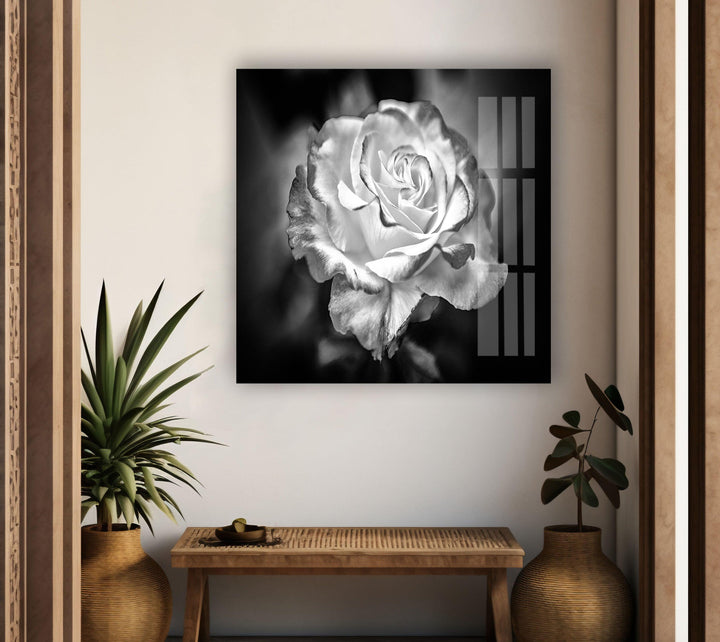 Black - White Rose Glass Wall Art, glass art painting, glass art for the Wall