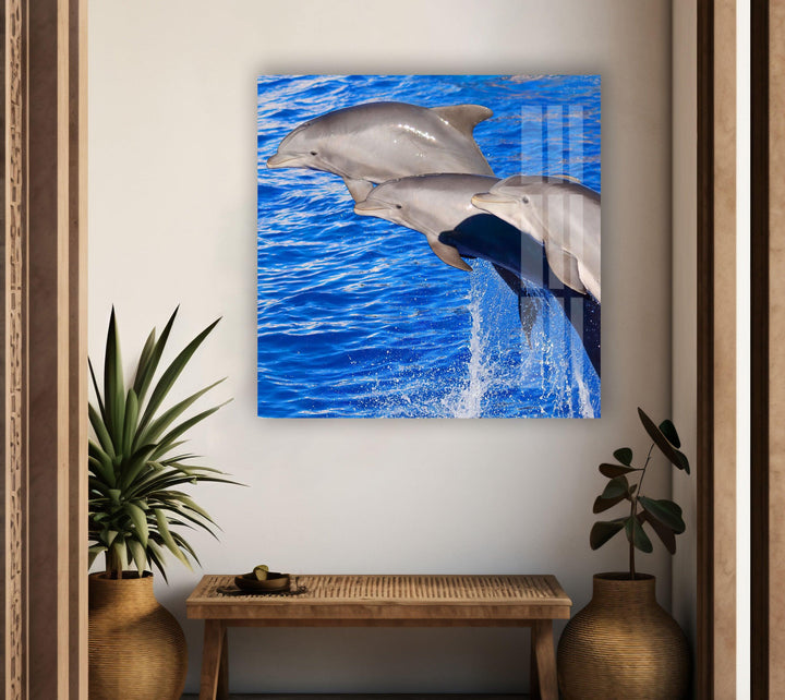 Bottlenose Dolphin Glass Wall Art custom glass photo prints, large glass prints