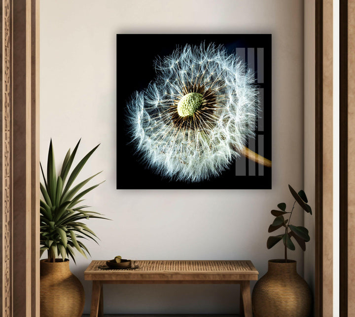 Dandelion Seeds Closeup Glass Wall Art, glass photo prints, glass picture prints