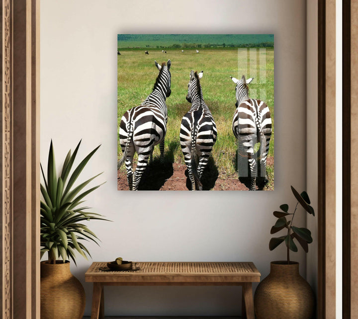 Safari Zebra Glass Wall Art print on glass, glass printed photos