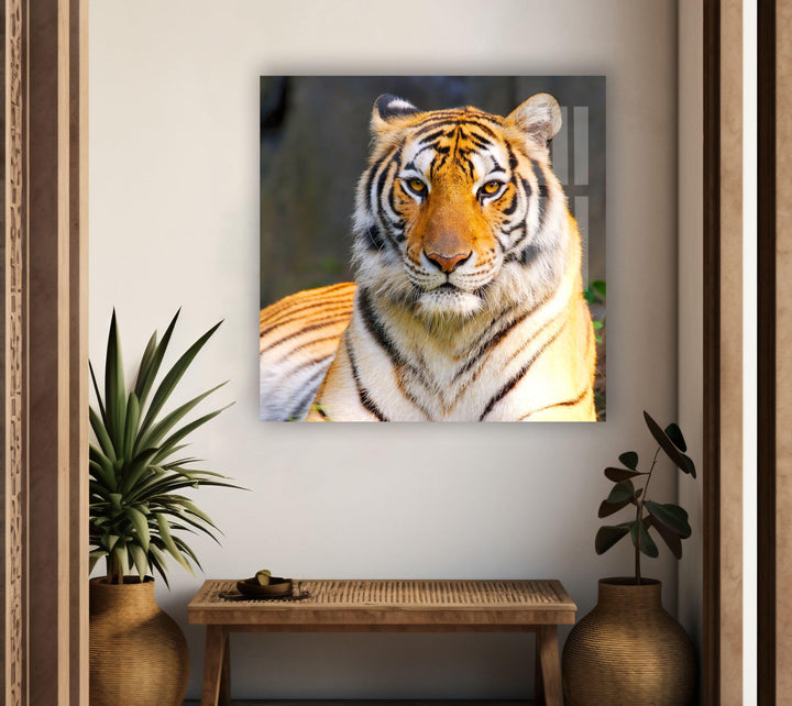 Wildlife Tiger Glass Wall Art glass art painting, glass art for the Wall
