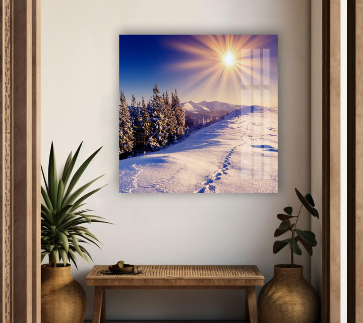 Snowy Pine Trees Under the Sun – A Crisp and Clear Winter Artwork
