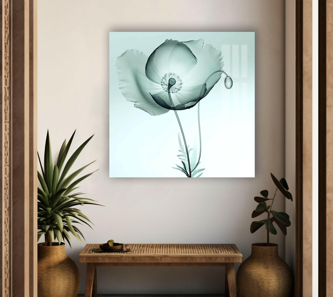 X-ray Image Of A Poppy Glass Wall Art, glass pictures for Wall, glass prints wall art