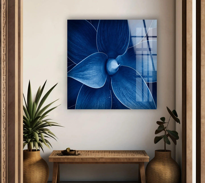 Blue Agave Closeup Glass Wall Art, photo print on glass, prints on glass wall art
