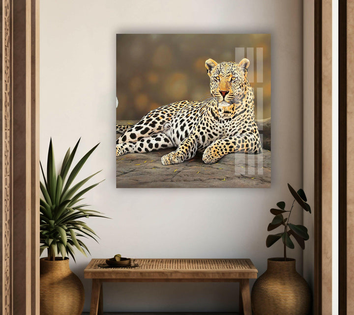 Laying Cheetah Glass Wall Art art glass wall art, glass wall art pictures