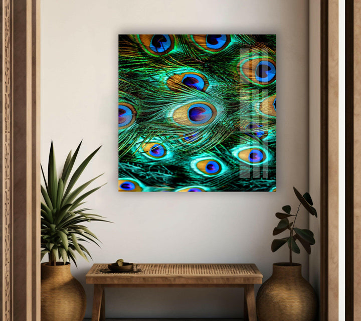 Stunning  Peacock Feathers Glass Artwork Panels