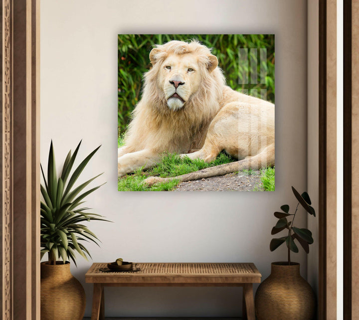 Safari Lion Glass Wall Art Glass Printing Wall Art, Print photos on glass
