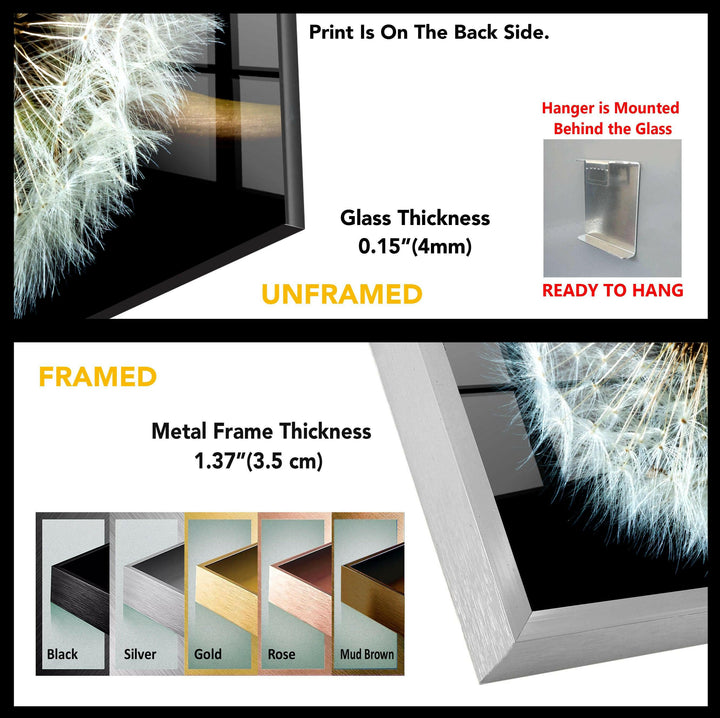 Dandelion Seeds Closeup Glass Wall Art, photos printed on glass