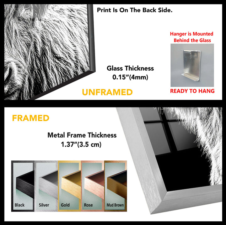 Highland Scottish Cow Tempered Glass Wall Art - MyPhotoStation