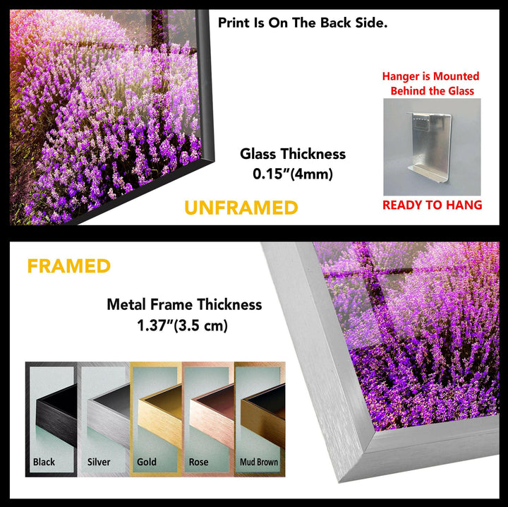 Lavender Field Sunrise Glass Wall Art