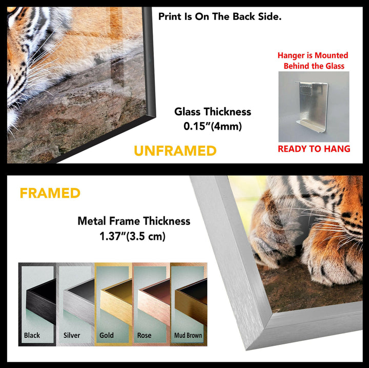 Wild Tiger Animal Tempered Glass Wall Art - MyPhotoStation