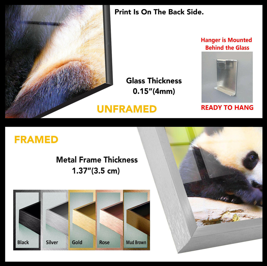 Panda Tempered Glass Wall Art - MyPhotoStation