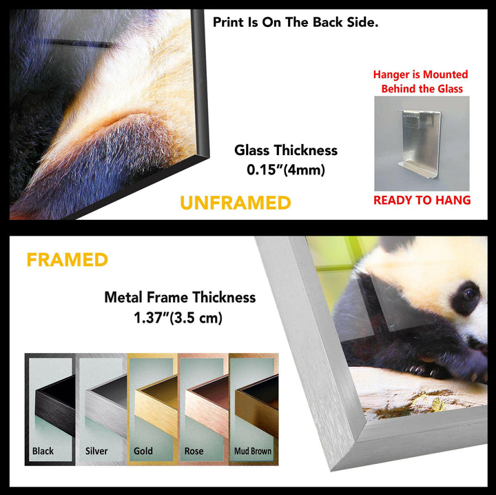 Panda Tempered Glass Wall Art - MyPhotoStation