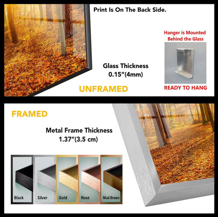 Autumn Forest Path Glass Wall Art – A Serene Fall Landscape