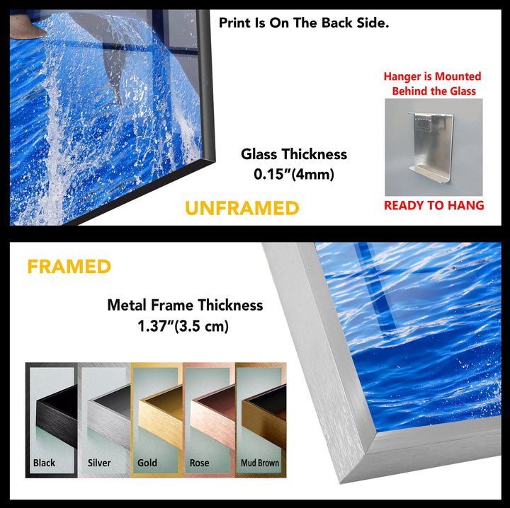 Dolphin Tempered Glass Wall Art - MyPhotoStation