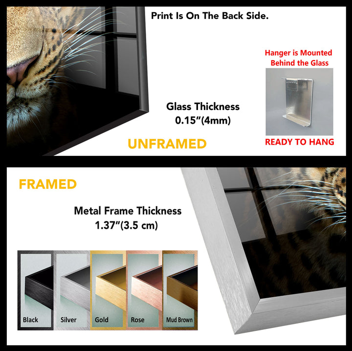 Wild Life Leopard Tempered Glass Wall Art - MyPhotoStation