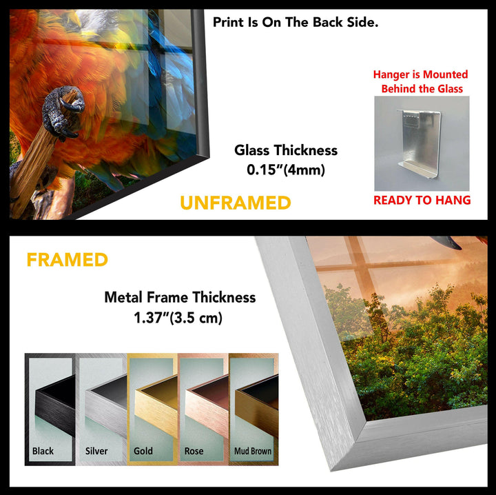 Tropical Parrot Glass Wall Art
