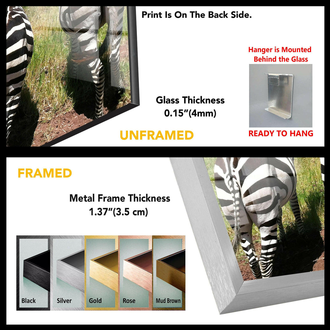 Safari Zebra Glass Wall Art