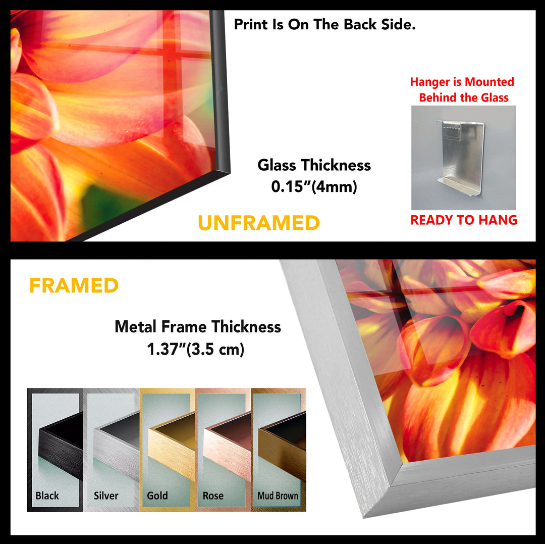 Closeup Vivid Red Flower Glass Wall Art, custom glass pictures, glass art prints