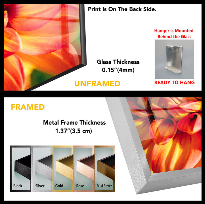 Closeup Vivid Red Flower Glass Wall Art, custom glass pictures, glass art prints