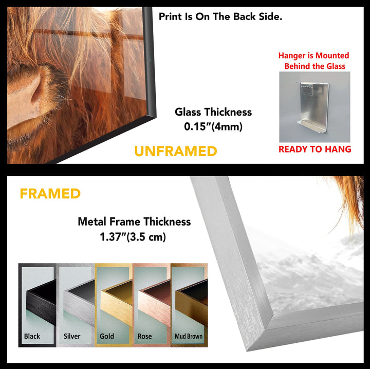 Highland Cow Rustic Bull Tempered Glass Wall Art - MyPhotoStation