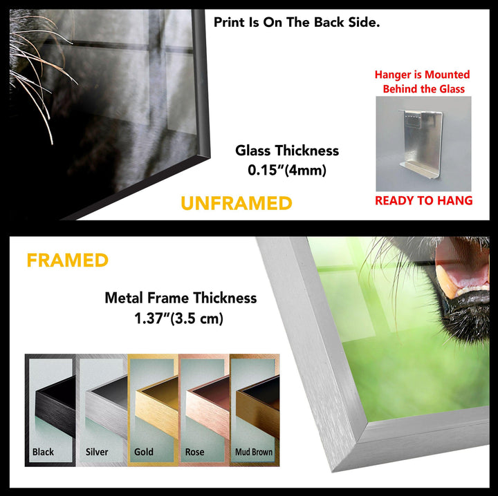 Wild Cats Panther Tempered Glass Wall Art - MyPhotoStation