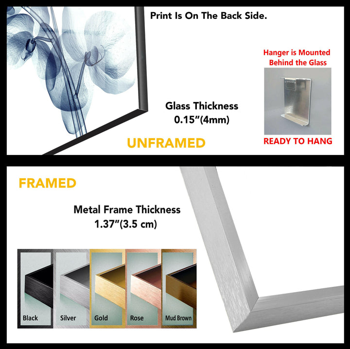 X-ray Blue Orchide Glass Wall Art, art glass wall art, glass wall art pictures