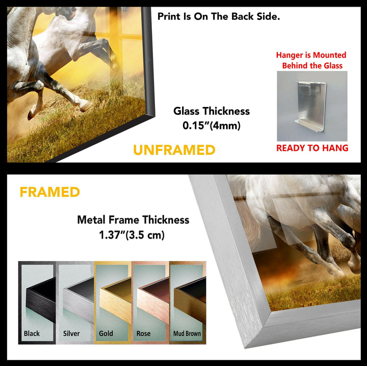 White Horse Tempered Glass Wall Art - MyPhotoStation