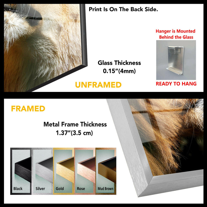 Safari Baby Lion Tempered Glass Wall Art - MyPhotoStation