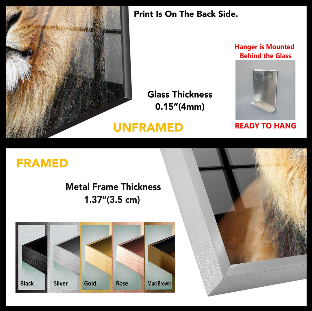 Wild Lion Tempered Glass Wall Art - MyPhotoStation