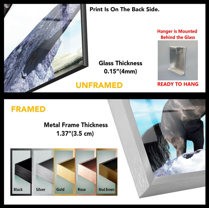 Wild Black Horse Tempered Glass Wall Art - MyPhotoStation