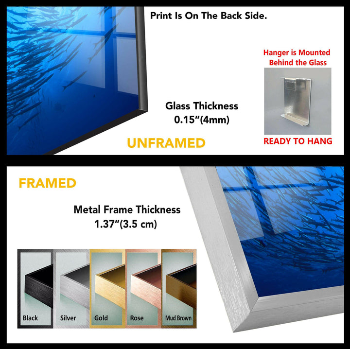 Blue Fish Tempered Glass Wall Art - MyPhotoStation