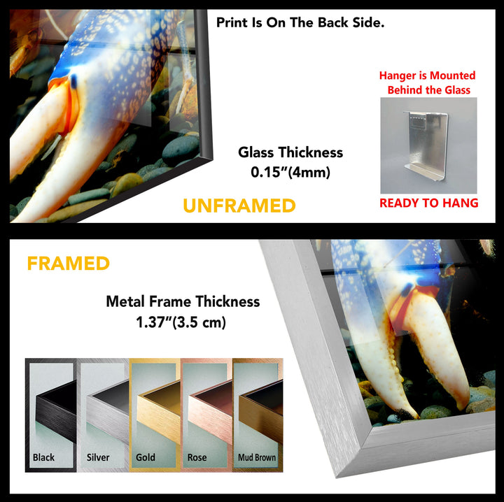 Decorative Lobster Tempered Glass Wall Art - MyPhotoStation