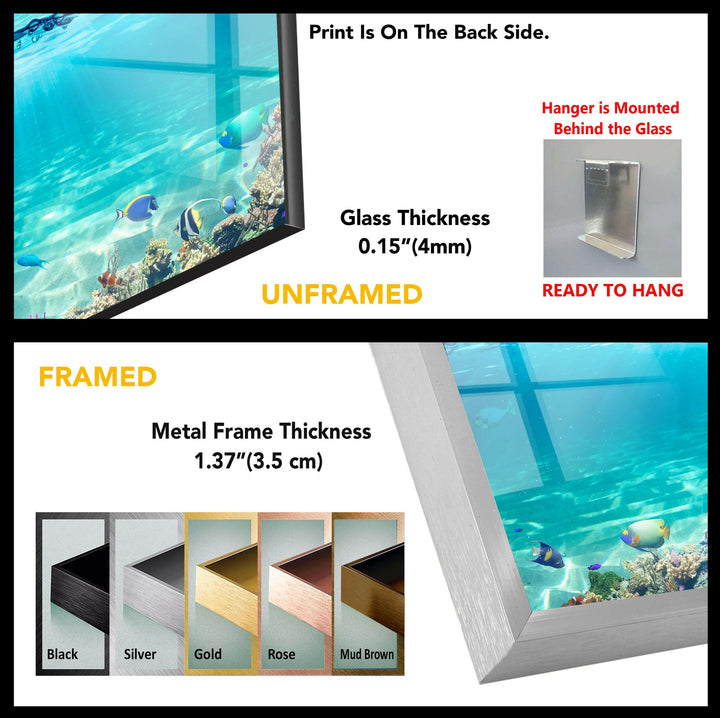 Tropische Insel &amp; Fische Glaswandkunst