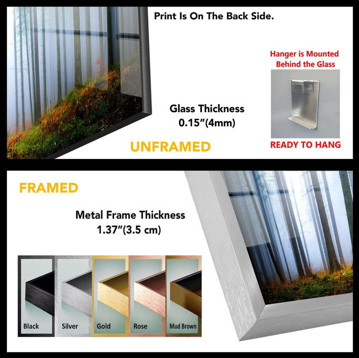 Wandbild aus Glas im Nebelwald