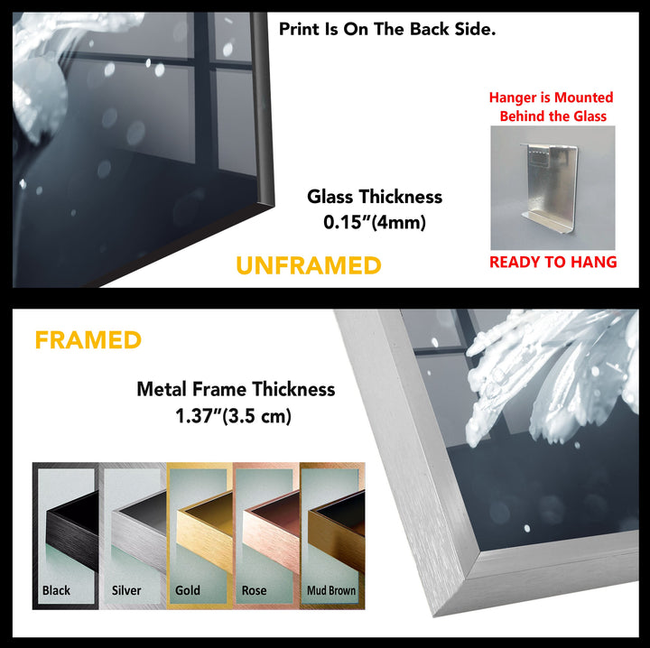 Ladybird Tempered Glass Wall Art - MyPhotoStation