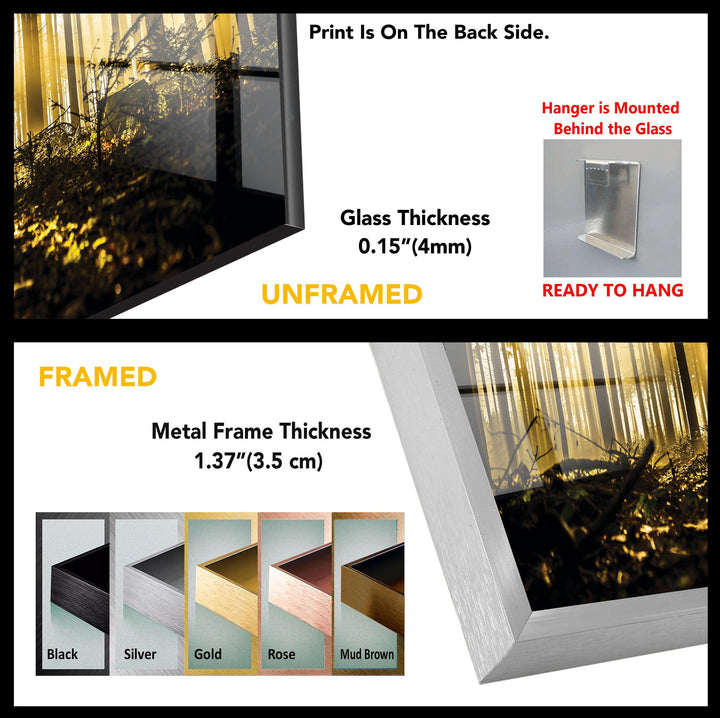 Forest Autumn View Tempered Glass Wall Art - MyPhotoStation