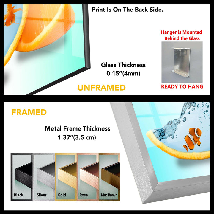 Fish at Orange Aquarium Tempered Glass Wall Art - MyPhotoStation