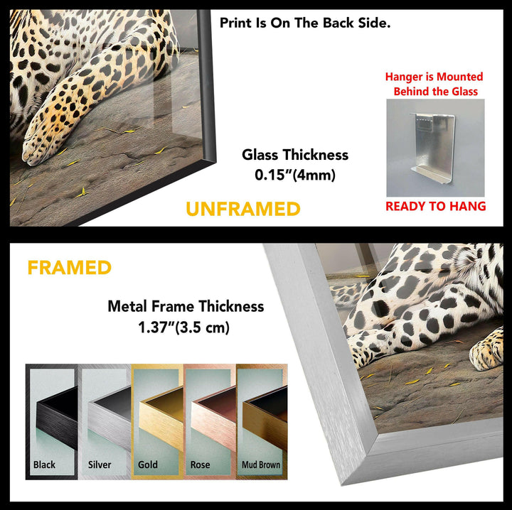 Wild Animal Cheeta Tempered Glass Wall Art - MyPhotoStation