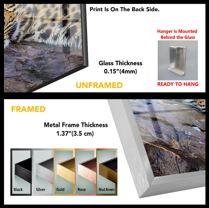 Majestic Amur Leopard Glass Wall Art