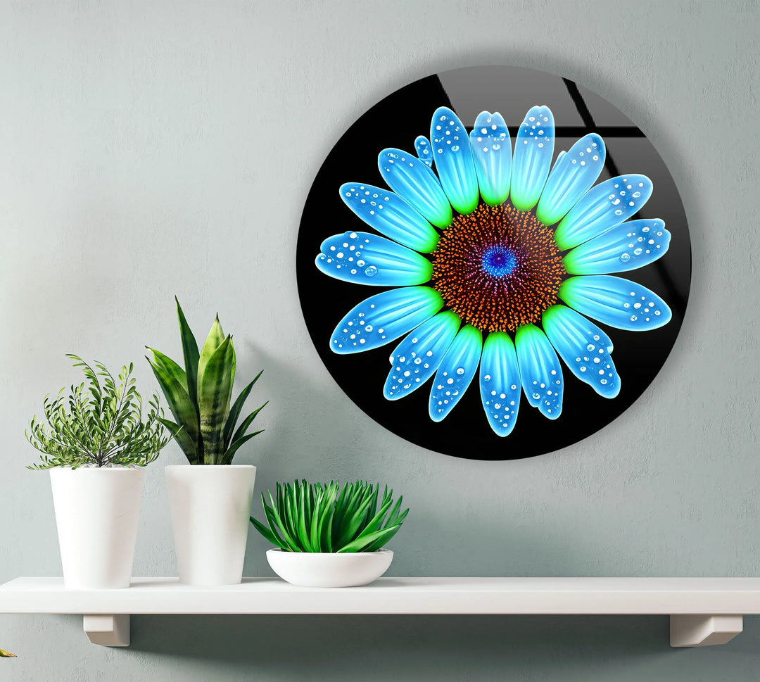 Blue Daisy Flower Wall Art – Round Modern Floral Glass Print with Water Droplets - MyPhotoStation