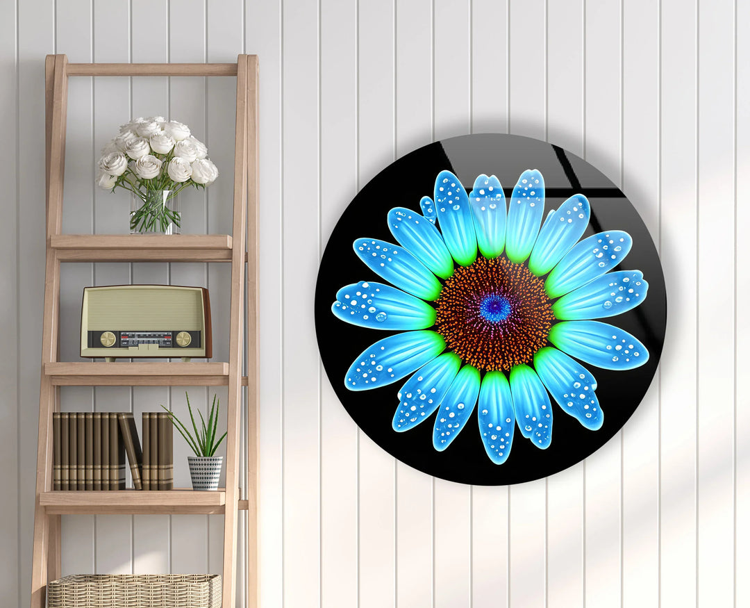 Blue Daisy Flower Wall Art – Round Modern Floral Glass Print with Water Droplets - MyPhotoStation