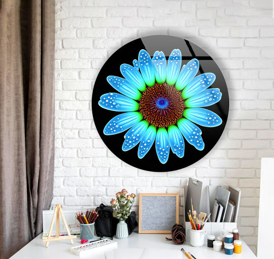 Water droplets form the softest element on this blue daisy flower, a modern round floral wall art prints on glass with a bold black background.