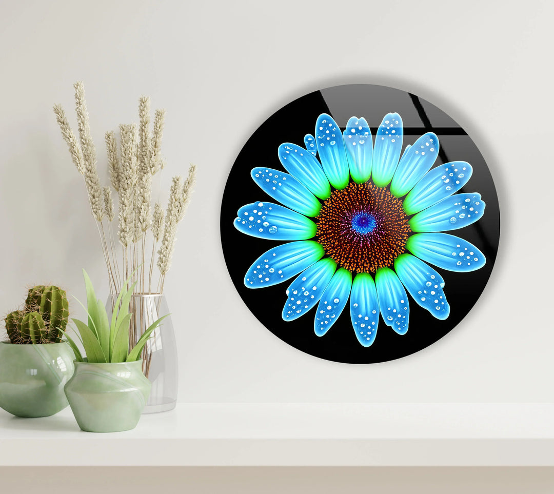 Blue Daisy Flower Wall Art – Round Modern Floral Glass Print with Water Droplets - MyPhotoStation