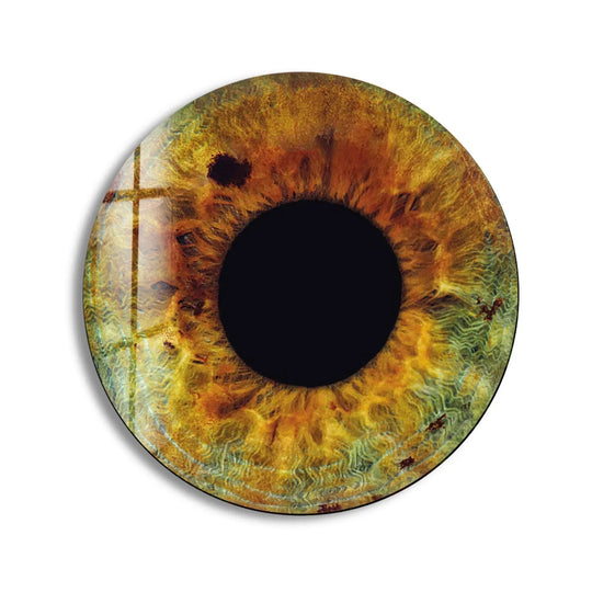 Circular eye hanging wall art shows an intriguing, close-up view, filling the round glass with golden brown and green textures around a black center.