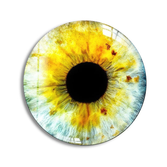Curving patterns define this round glass wall art, showcasing the organic forms within the colored eye design, making it the best glass art.
