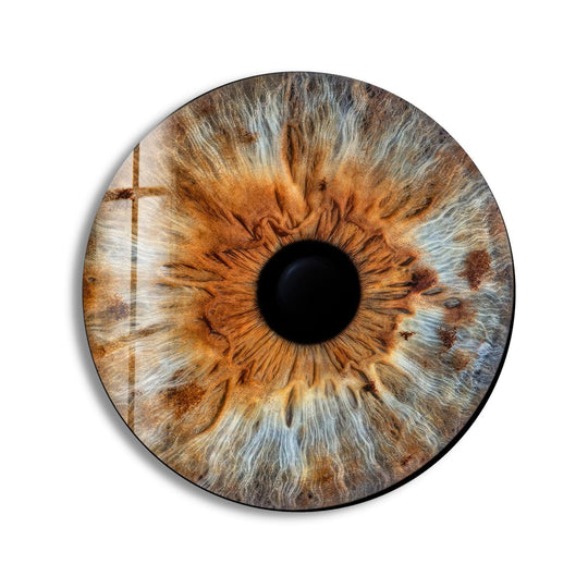 Revealing depth and layers, this brown eye glass art showcases intricate iris patterns and captivating color transitions in circular wall art.