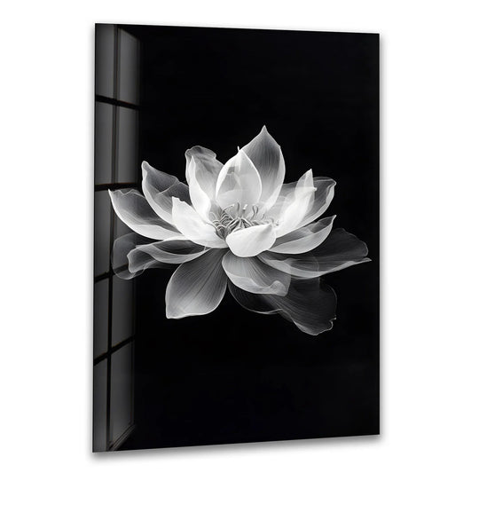 The central subject, a luminous white lotus flower, takes center stage in this black-and-white floral wall art, showcased through exquisite glass printing.