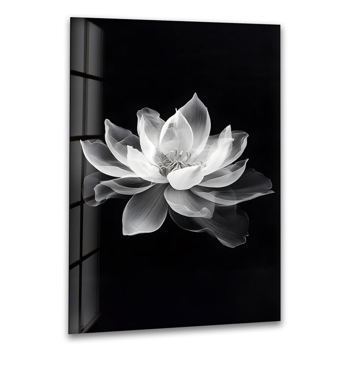 Elegant black-and-white lotus flower design on glass, adding serenity to your space.