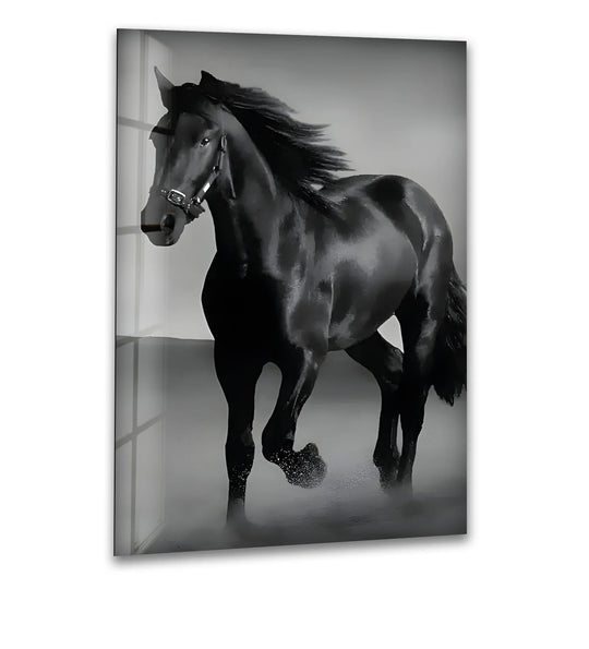 Animal with black stallion subject and horse photography wall art bringing elegance plus black and white interior style